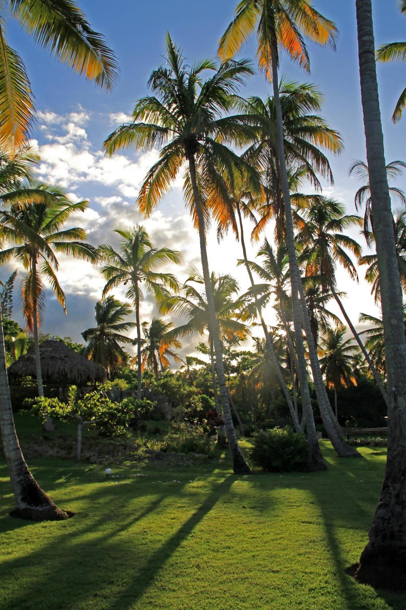 Hotel Todoblanco, Las Galeras, Samana Extérieur photo