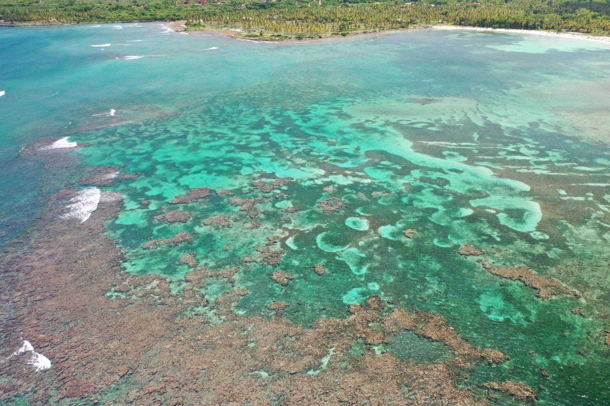 Hotel Todoblanco, Las Galeras, Samana Extérieur photo